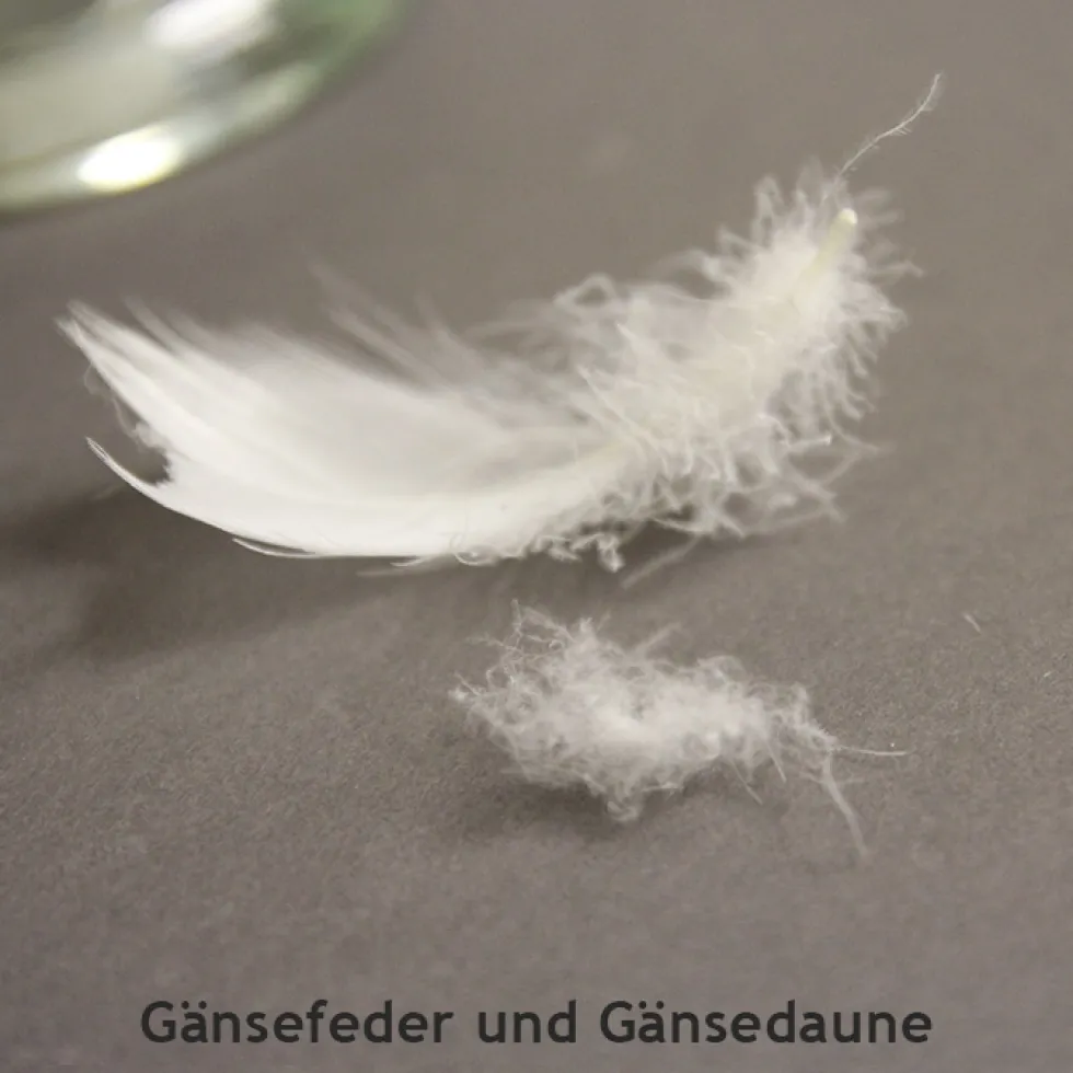 Kissen Premium | weiss